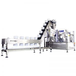 Automatic Bag Given Rotary Packaging Machine